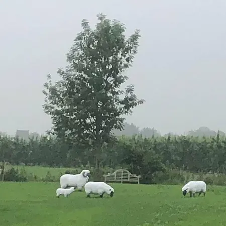 Semesterbostad Gastenhuis Prachtige Historische Vierkant Hoeve *